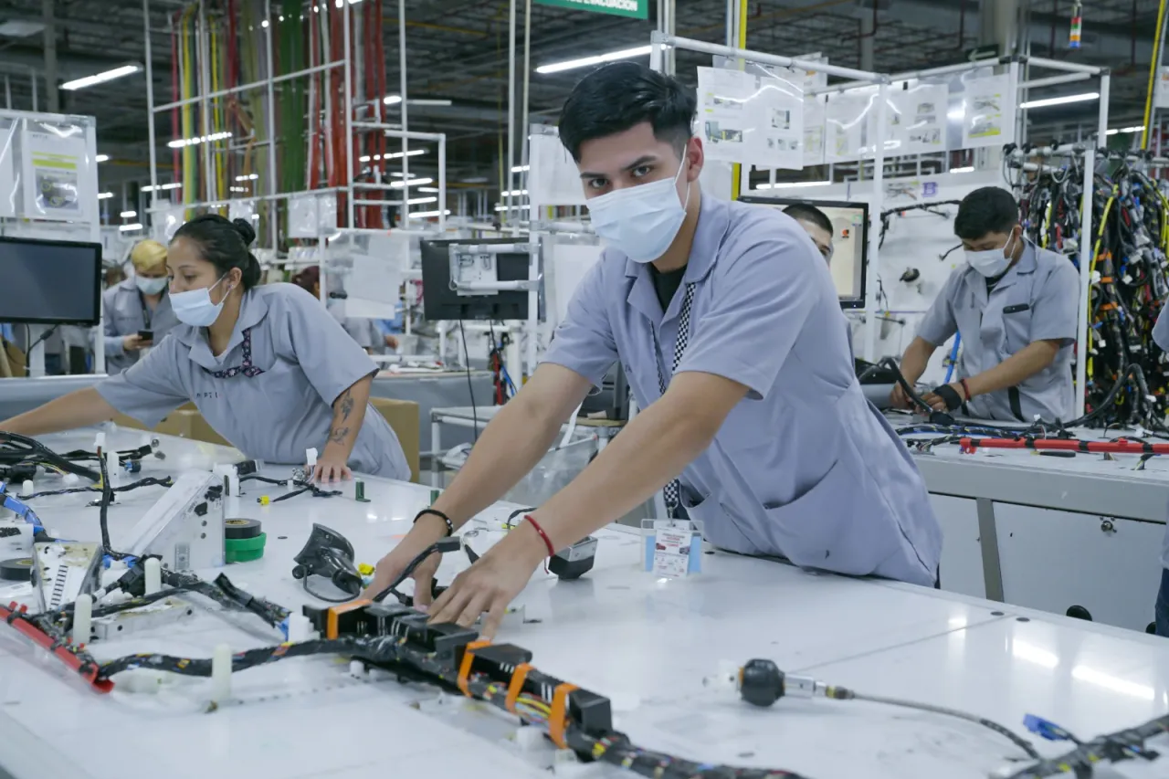 Empresarios y políticos celebran un balance emocionante: empleo formal cierra año con crecimiento sorprendente