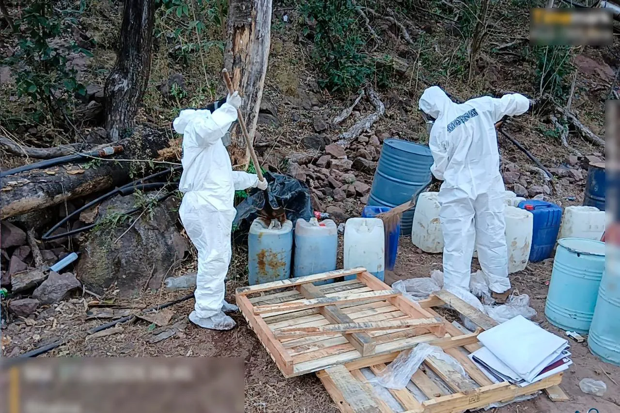 Operación de Acción Ejecutiva: Autoridades descubren y desmantelan centro de investigación ilegal en tierras sinaloenses