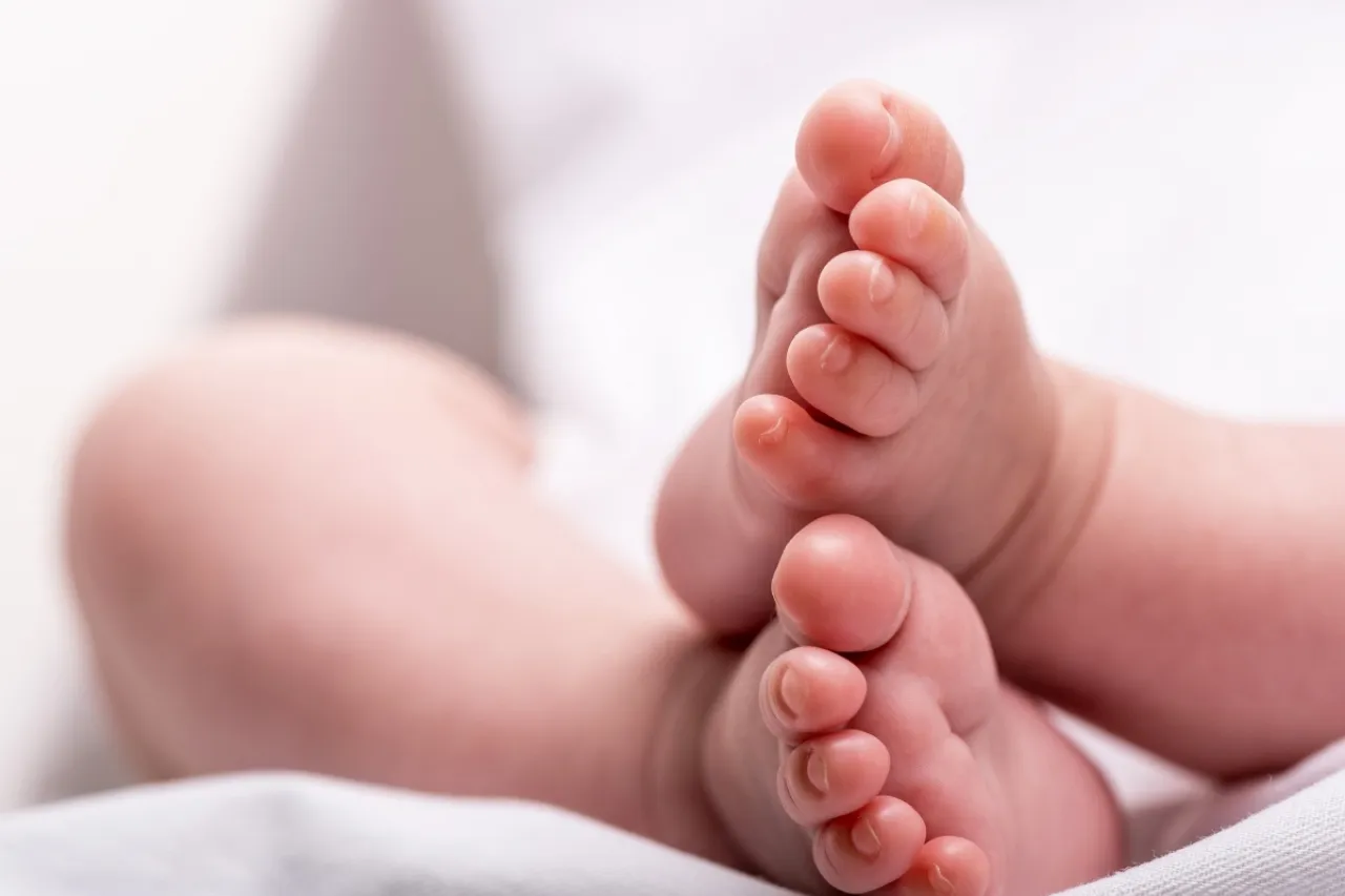 Descubrimiento chocante en un contenedor de residuos: una vida breve y trágica nace en la basura