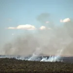 Amazonía Brasileña logra un histórico rédito en la lucha contra los incendios: una caída sin precedentes en 28 años.